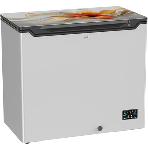 Walton Freezer 210L | WCF-2A0-GSRE-XX-P